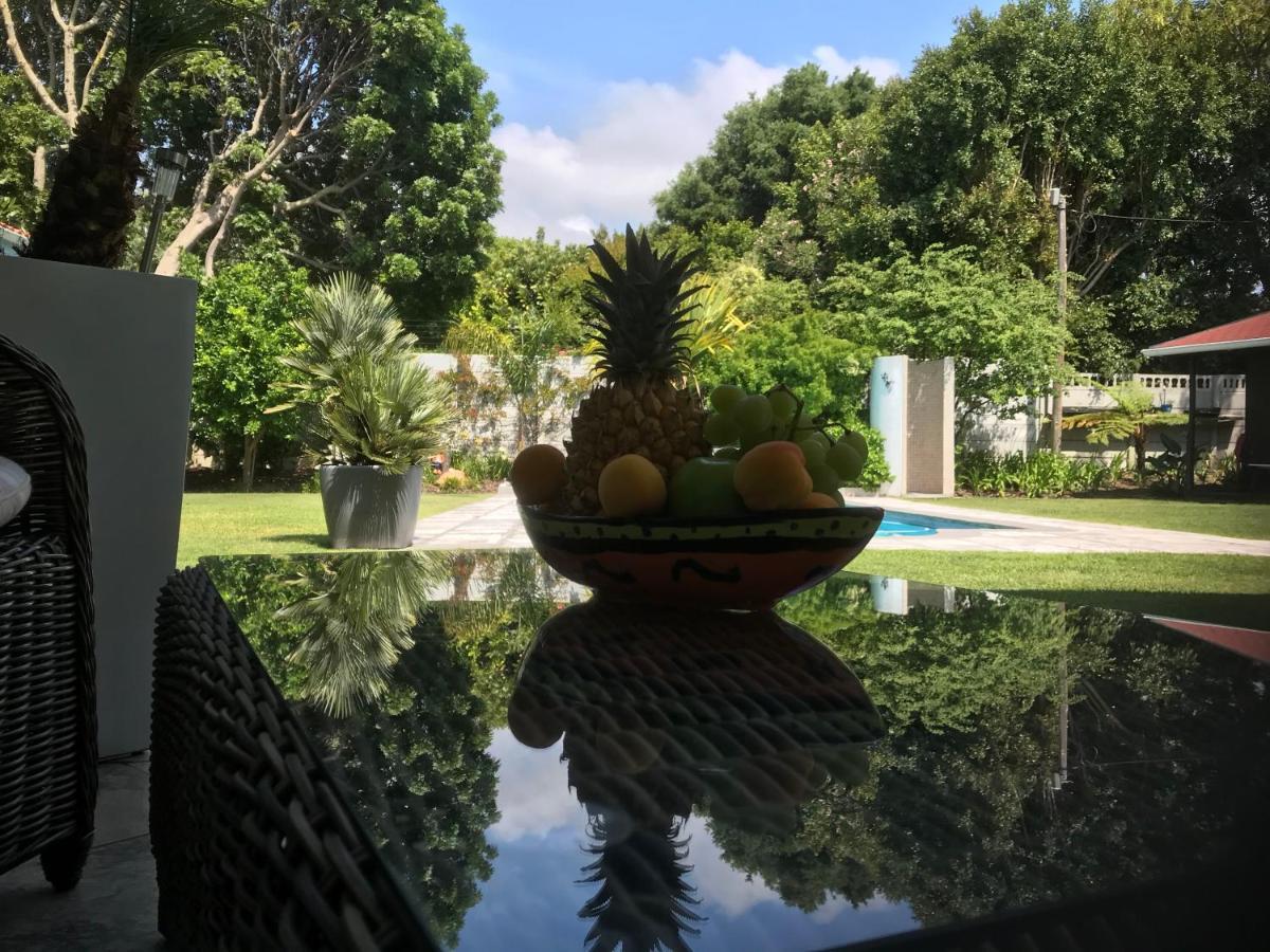 Apartament Grenadilla (Adults Only) Constantia Zewnętrze zdjęcie